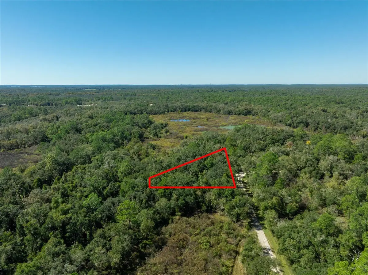 Lot 1 Chipstone Street, Webster, FL 33597 - Image #1