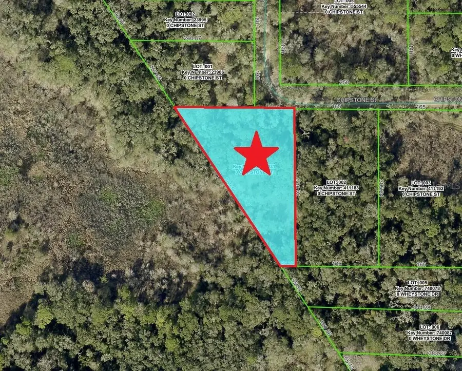 Lot 1 Chipstone Street, Webster, FL 33597 - Image #2