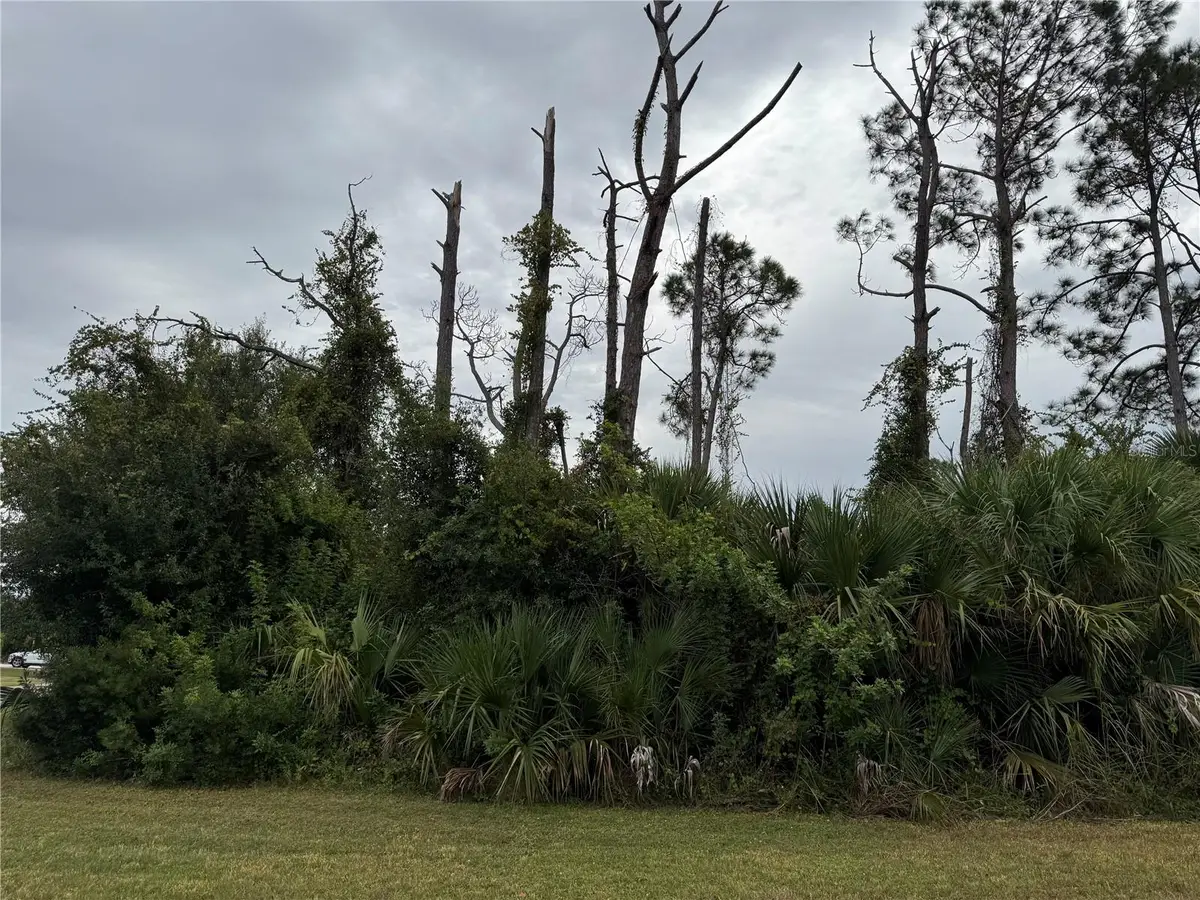 Amnesty Drive, North Port, FL 34288 - Image #1