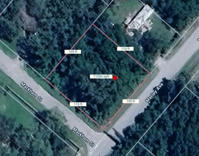 9845 Marley Avenue, New Port Richey, FL 34654 - Image #2