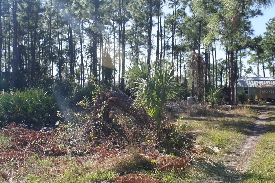 8089 Austrian Boulevard, Punta Gorda, FL 33982 - Image #3