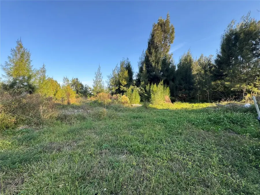 5926 Sabalwood Drive, Punta Gorda, FL 33982 - Image #3