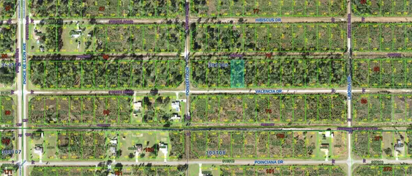 218 Valencia Drive, INDIAN LAKE ESTATES, FL 33855