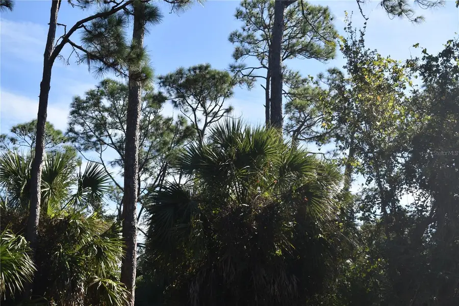 174 Bishop Street, Port Charlotte, FL 33954 - Image #2