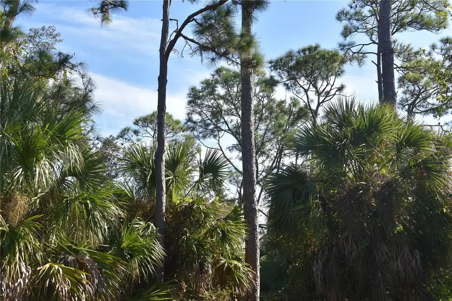 20272 Lorette Avenue, Port Charlotte, FL 33954 - Image #3