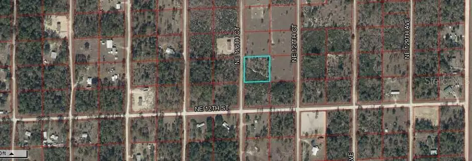 Northeast 126 Court, Williston, FL 32696 - #1