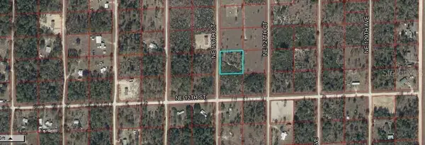 Northeast 126 Court, WILLISTON, FL 32696