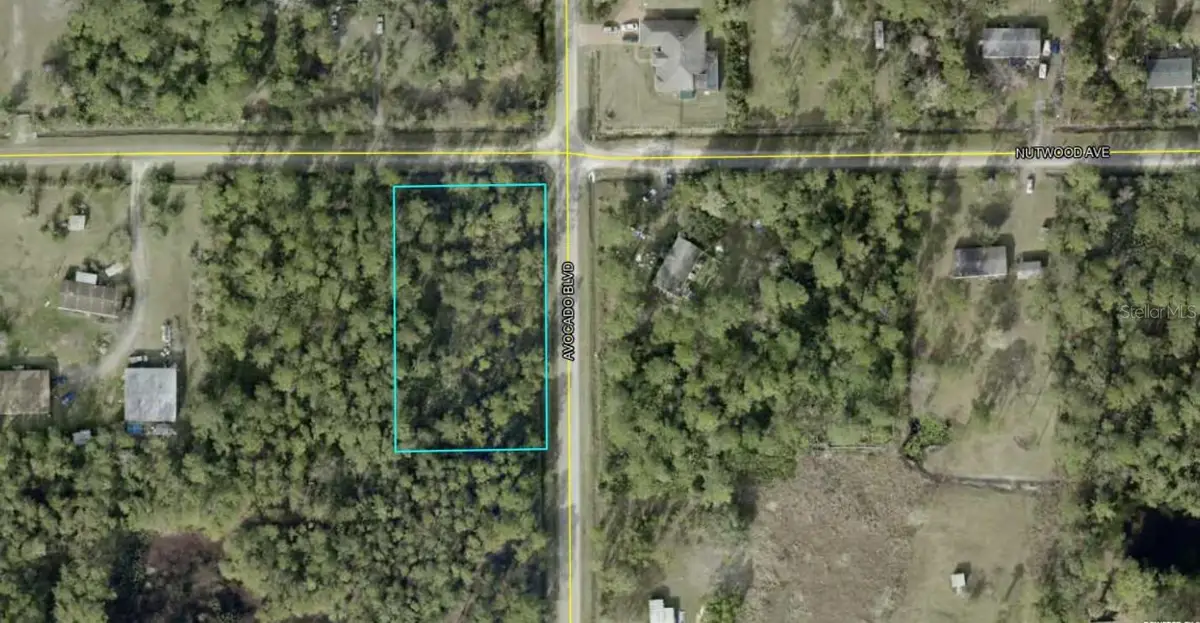 5958 Nutwood Avenue, Bunnell, FL 32110 - Image #1