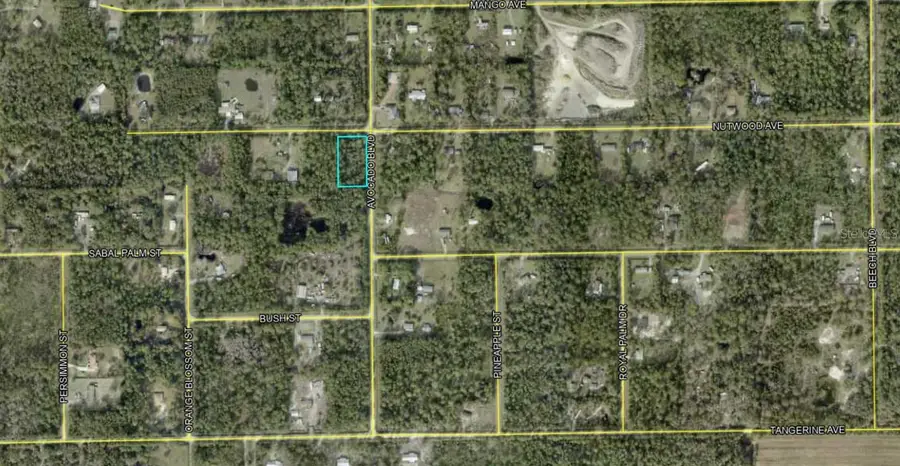 5958 Nutwood Avenue, Bunnell, FL 32110 - Image #2