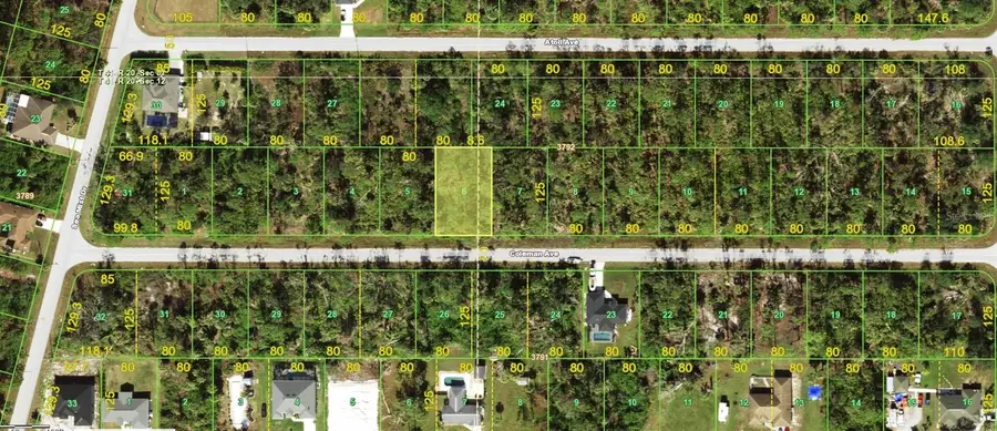 11998 Coleman Avenue, Port Charlotte, FL 33981 - Image #2