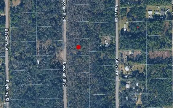 1781 Coconut Boulevard, Bunnell, FL 32110 - Image #1