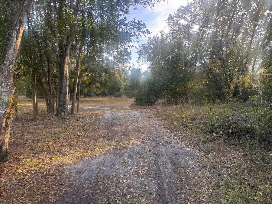 3960 NW Bachtold Drive, Arcadia, FL 34266 - Image #3