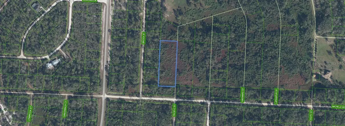 810 Pacific Street, Lake Placid, FL 33852 - Image #1