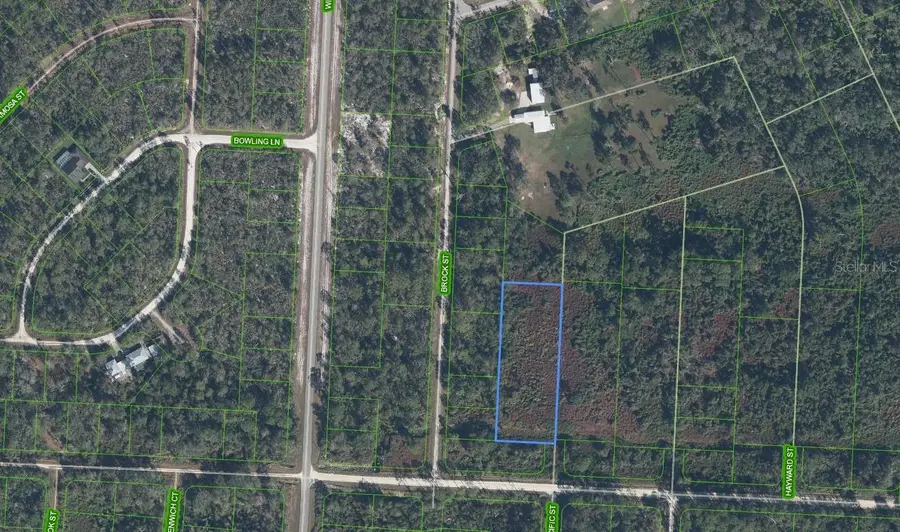 810 Pacific Street, Lake Placid, FL 33852 - Image #3