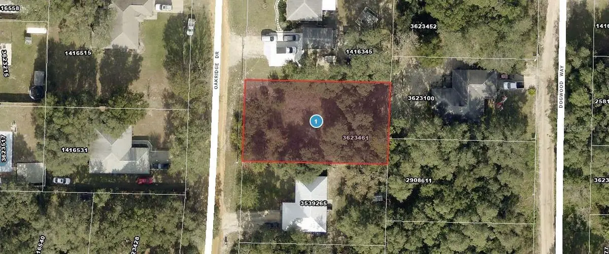 Oakridge Drive, Lady Lake, FL 32159 - Image #1