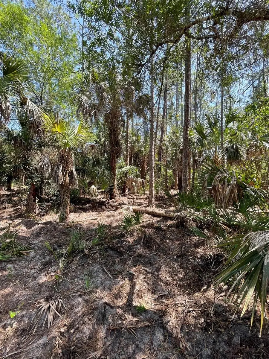 49765 Bermont Road, Punta Gorda, FL 33982 - #3