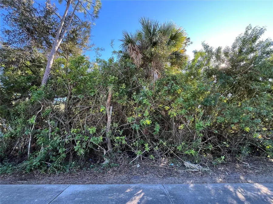 20417 Quesada Avenue, Port Charlotte, FL 33952 - Image #3