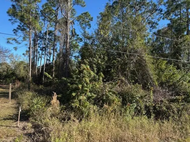 13636 Sulky Drive, Punta Gorda, FL 33955 - Image #2