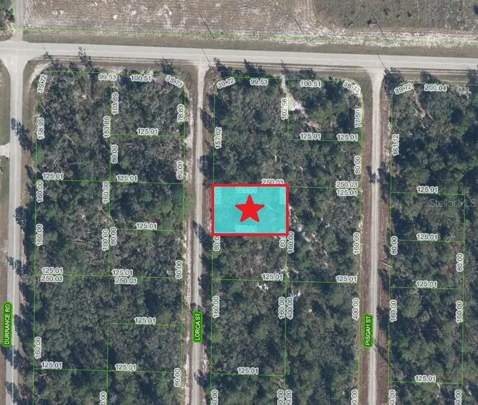 1255 Lorca Street, Lake Placid, FL 33852 - #1