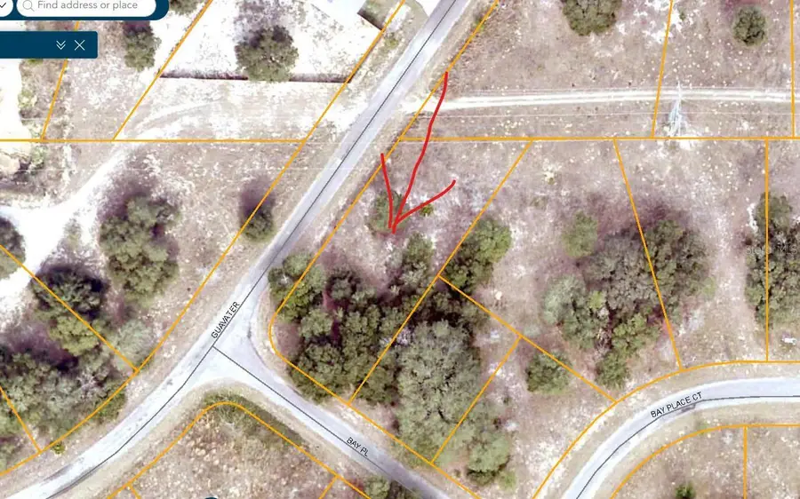 Lot 1 Guava Terrace, Ocklawaha, FL 32179 - Image #3