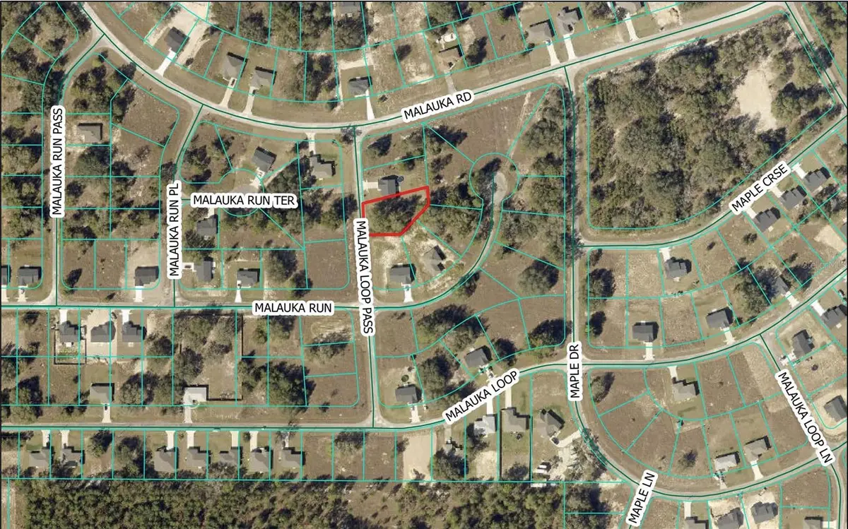 Malauka Loop Pass, Ocklawaha, FL 32179 - Image #1