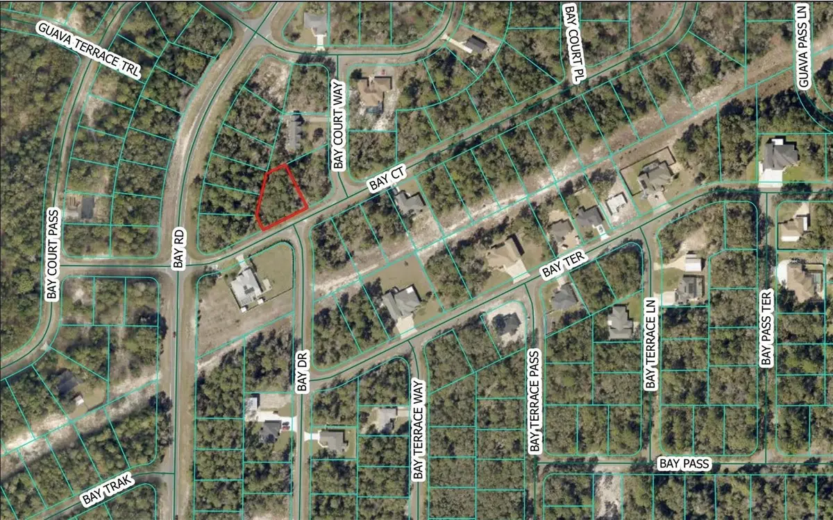 Bay Court, Ocklawaha, FL 32179 - Image #1