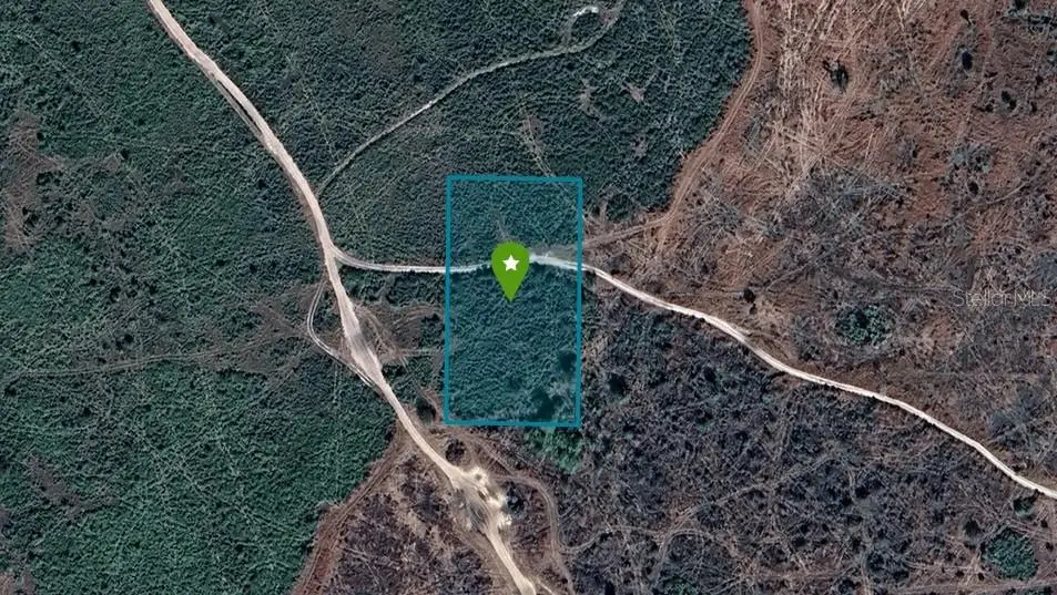 NW 314th Street, Okeechobee, FL 34972 - #1