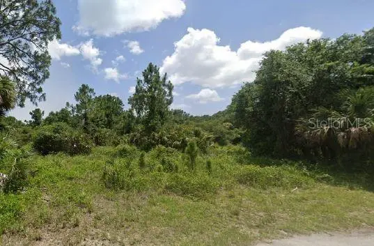 Ananas Road, North Port, FL 34288 - Image #3