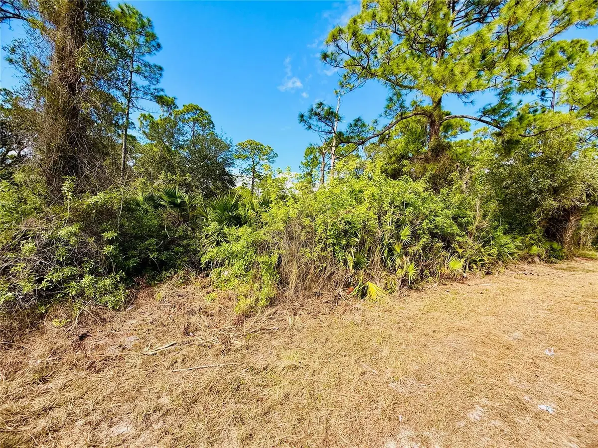 2007 Truman Avenue, Alva, FL 33920 - #1