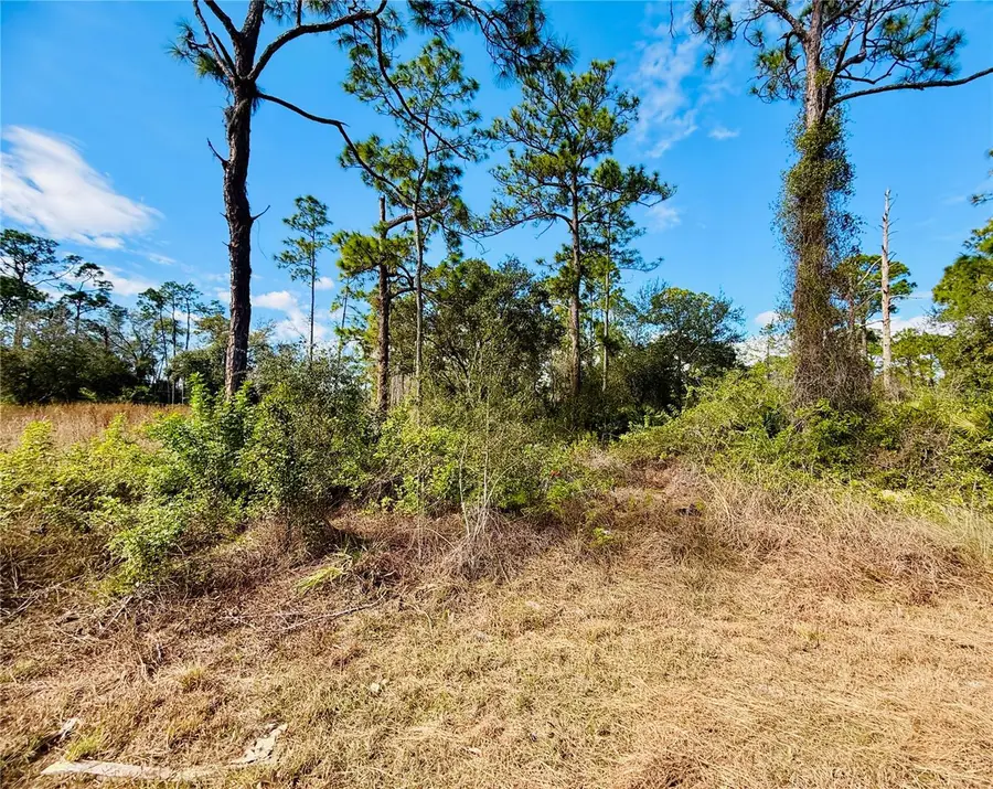 2007 Truman Avenue, Alva, FL 33920 - #3