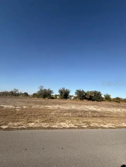 1007 NE 23rd Street, CAPE CORAL, FL 33909
