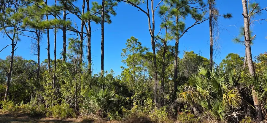 12054 Keller Avenue, Port Charlotte, FL 33981 - #3