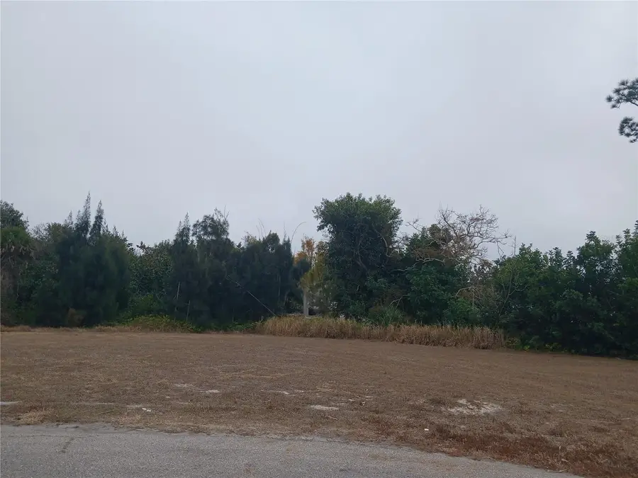 1591 Rossanne Place, Englewood, FL 34223 - #2