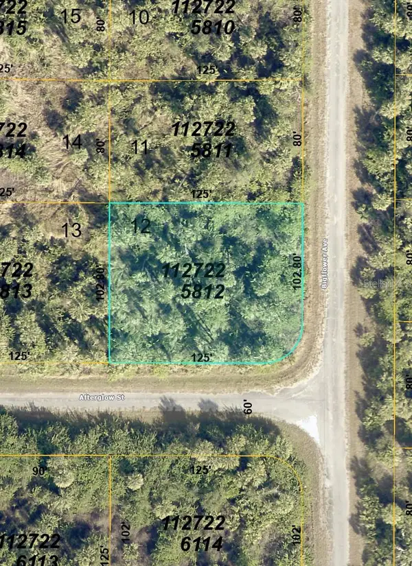 Bigflower Avenue, NORTH PORT, FL 34288