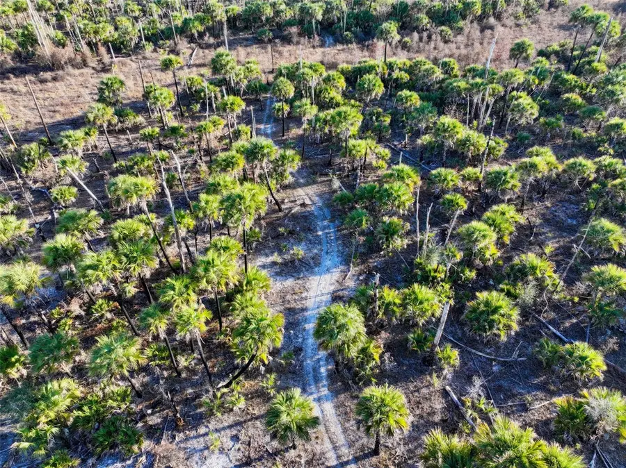 Black Burn Road, Naples, FL 34117 - #2