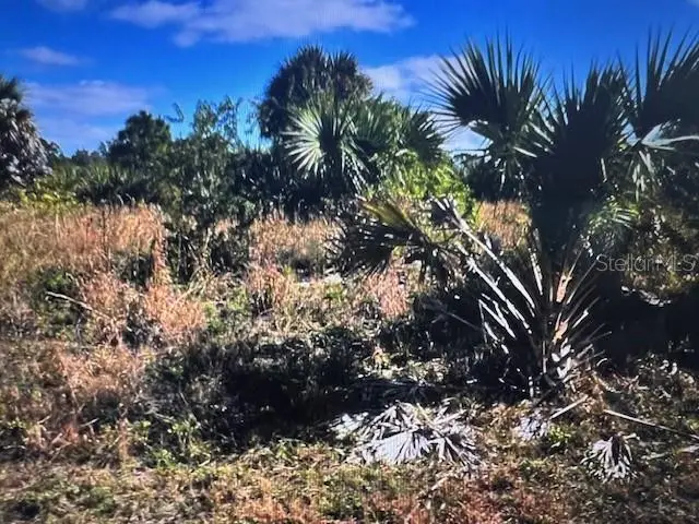 LOT 45 Barnsdale Circle, North Port, FL 34288 - #3