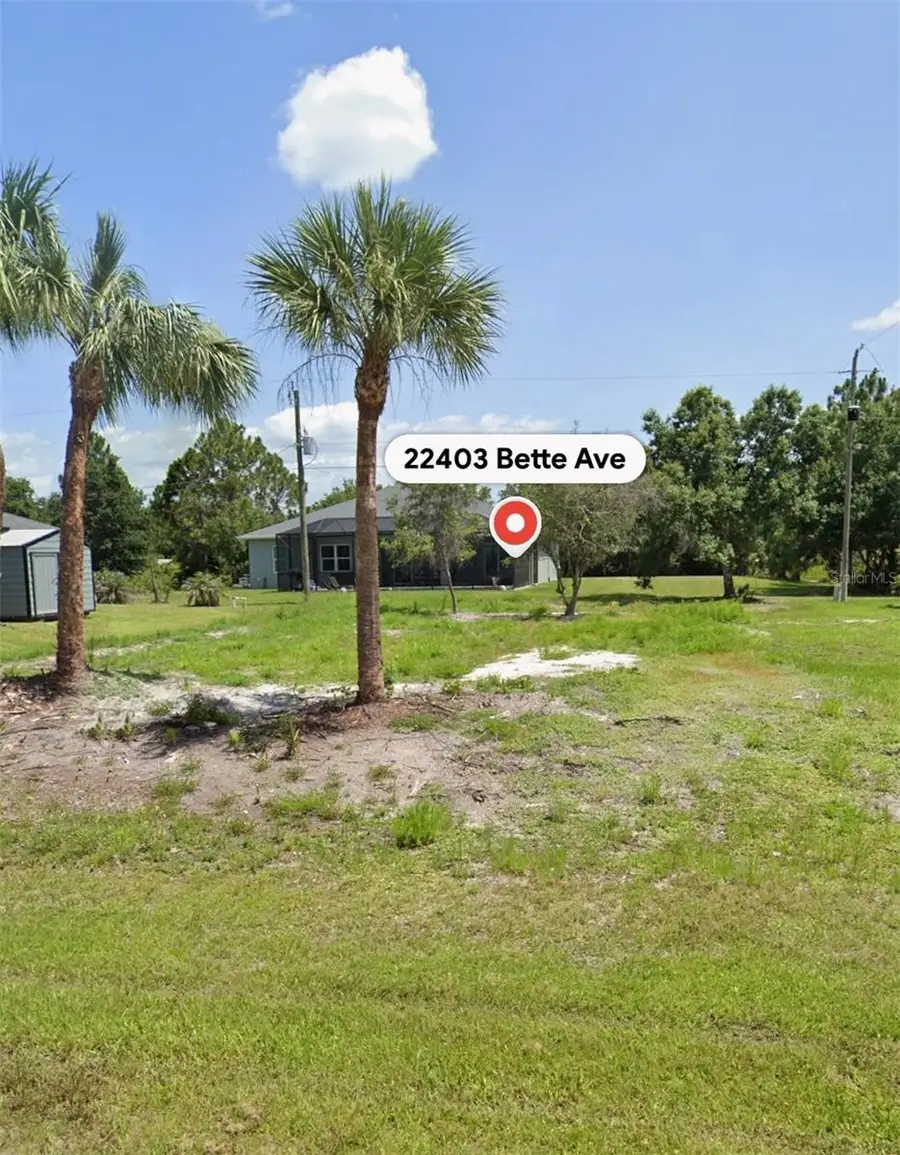 22403 Bette Avenue, Port Charlotte, FL 33954 - #3