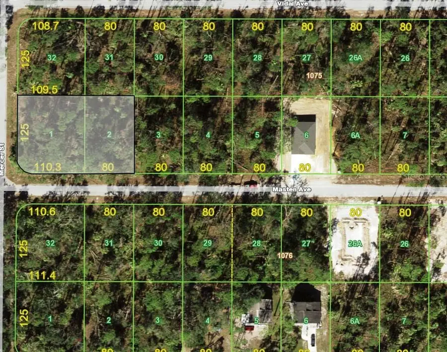 17332 Masten Avenue, Port Charlotte, FL 33954 - #2