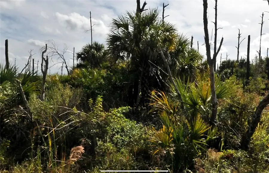 Plumleaf Terrace, North Port, FL 34288 - #3