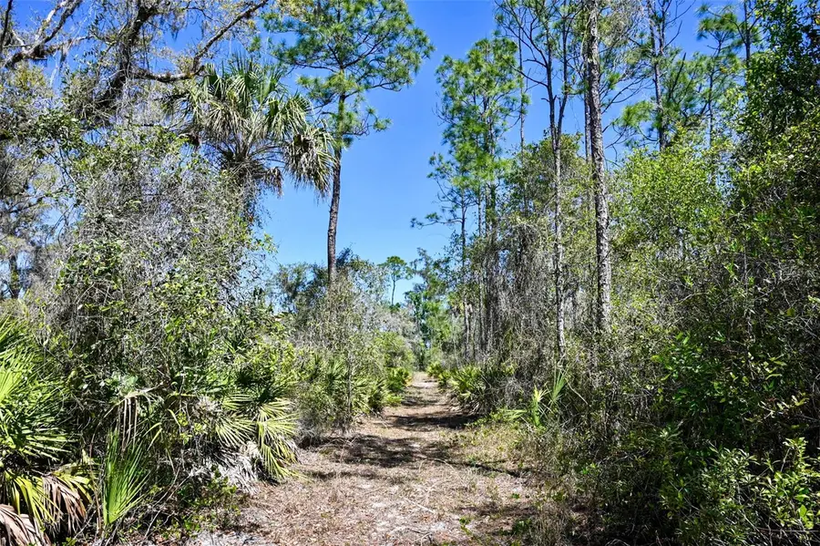 3832 SW Wildcat Run Road, Arcadia, FL 34266 - #2