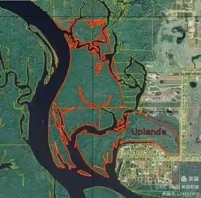 Sw Sunnybreeze Road, Arcadia, FL 34269 - #3