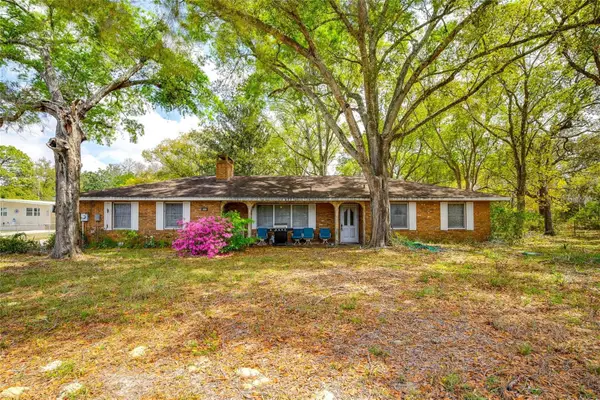 3316 Seaview Drive, SPRING HILL, FL 34606