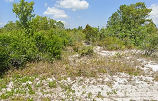 103-105 Vera Lane Nw, LAKE PLACID, FL 33852