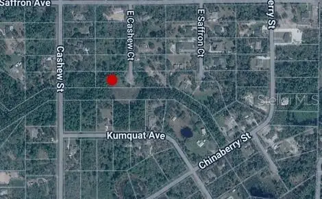 E Cashew Court, Eustis, FL 32736 - #1