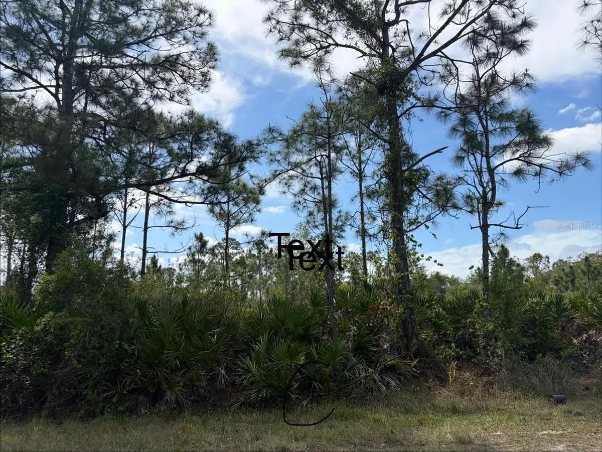 28131 Ramiro Drive, Punta Gorda, FL 33955 - #1