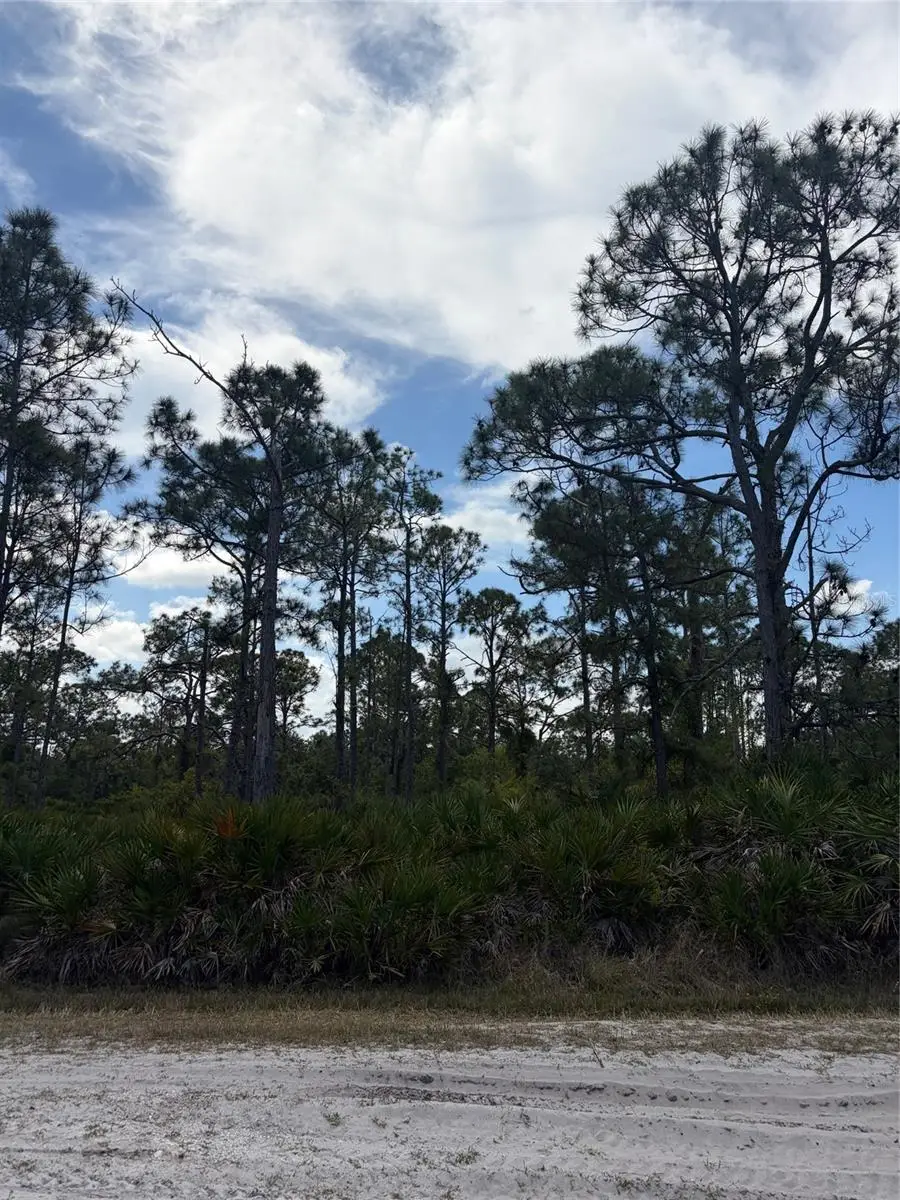 28078 Ramiro Drive, Punta Gorda, FL 33955 - #2