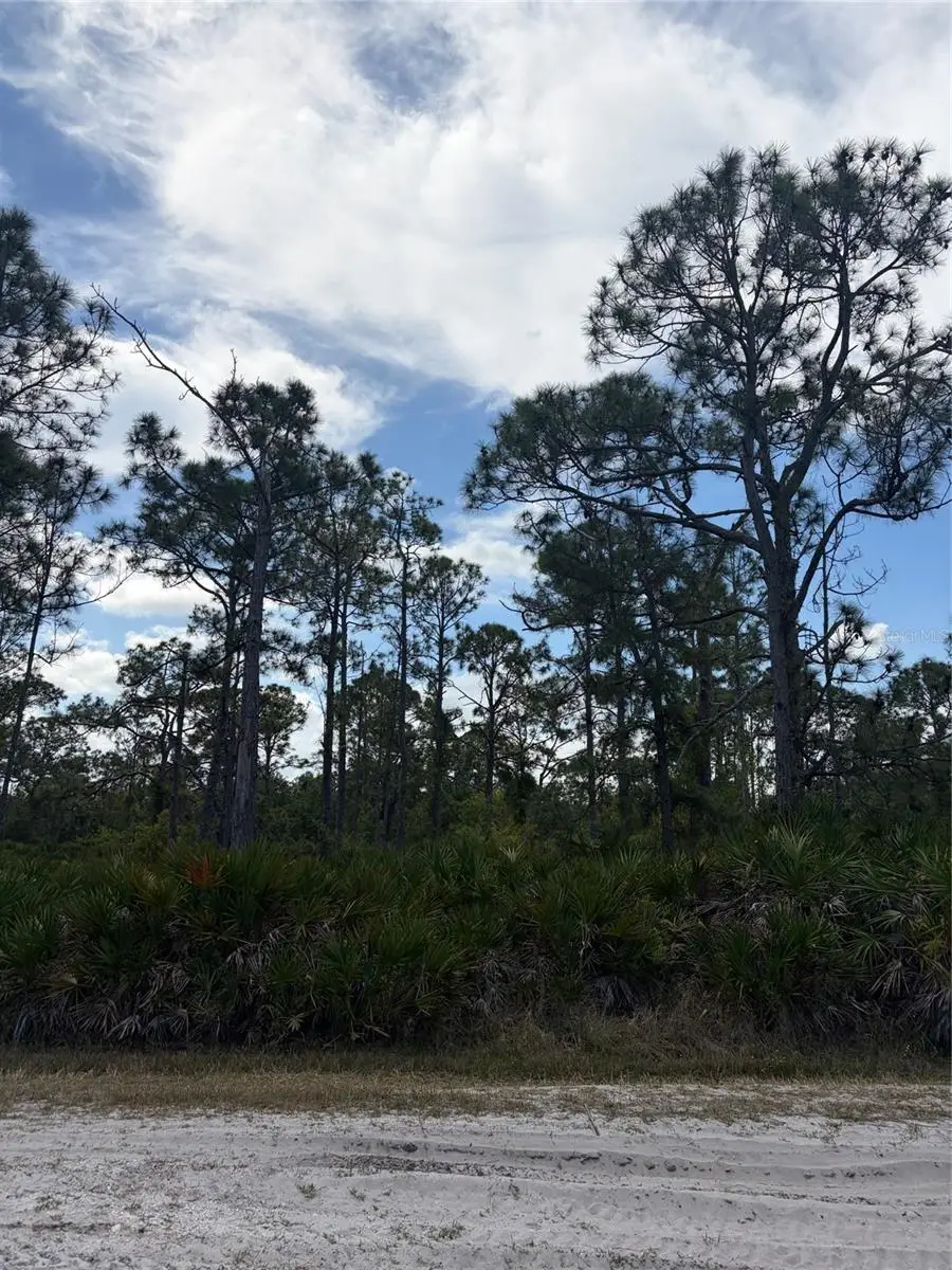 28072 Ramiro Drive, Punta Gorda, FL 33955 - #1