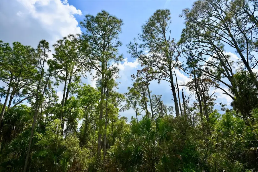 Greenley Road, North Port, FL 34286 - #3