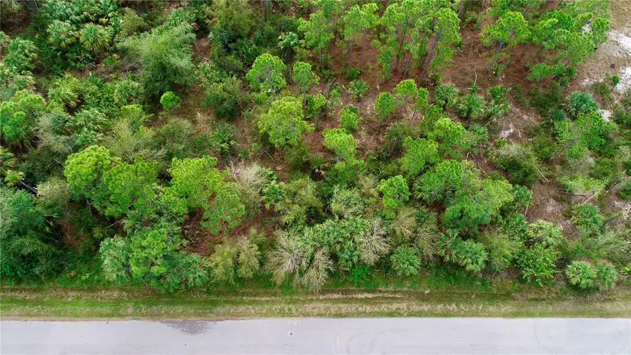 26373 Deer Road, Punta Gorda, FL 33955 - #3