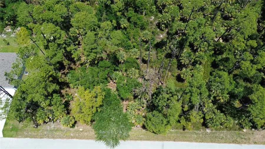 18126 Dillon Avenue, Port Charlotte, FL 33954 - #3